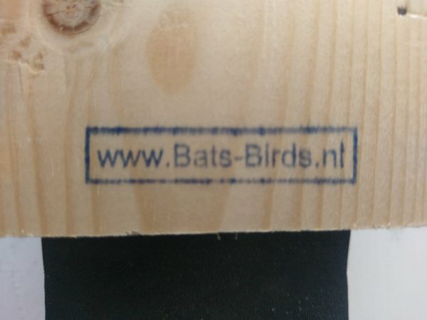 Bats birds