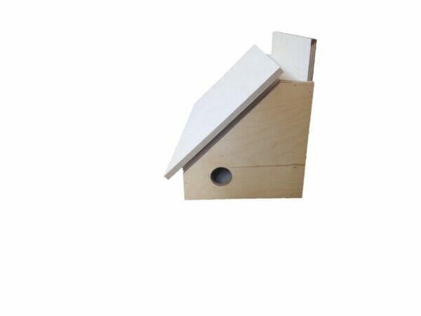 House sparrow box “Anton”